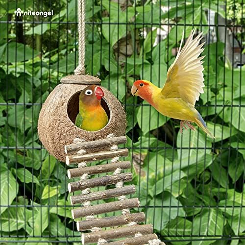 Убежище от естествен кокос Niteangel със Стълби, Играчка за птици и малки животни (Къща със стълби, Естествена повърхност)
