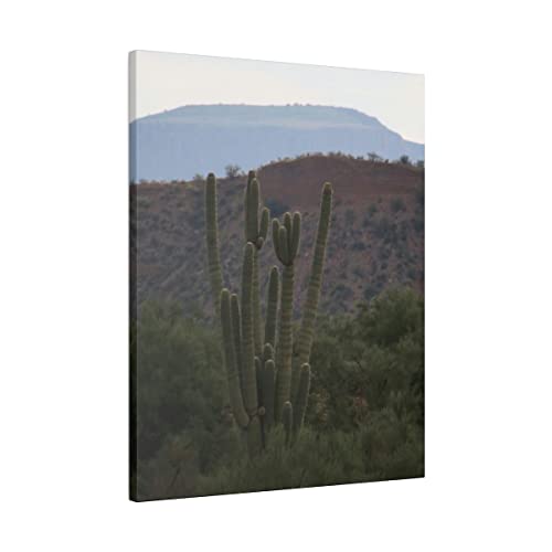 Група кактуси Saguaro в хълмовете на Аризона Цвят 16x20 Матиран Платно Натянутый в рамка Готов да бъде обесен Оригиналната снимка
