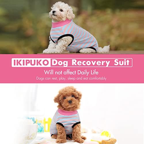 Костюм за възстановяване след операцията за кучета IKIPUKO, Костюм за Възстановяване на Кучета, Котки След операцията, Alternate